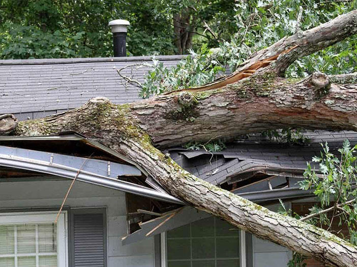 Dont let storm damage ruin your summer