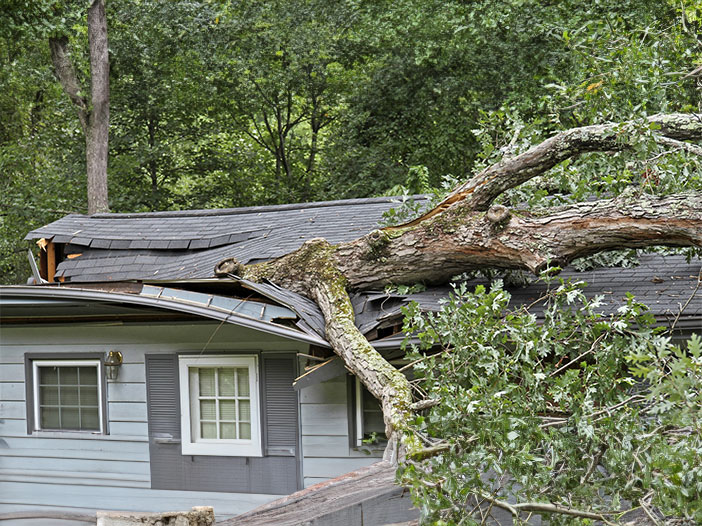 What To Do About Your Roof After a Storm