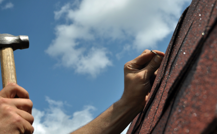 7 Roof Repair Tools Every Homeowner Wants On-Hand