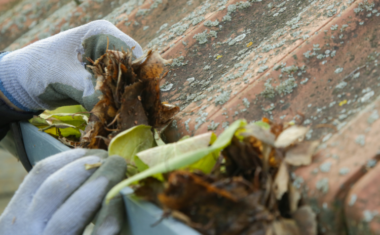  How Often Do Gutters Need To Be Cleaned?