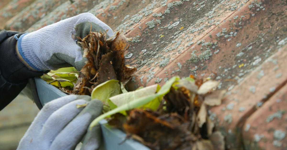 MUNZ Roofing How Often Do Gutters Need To Be Cleaned