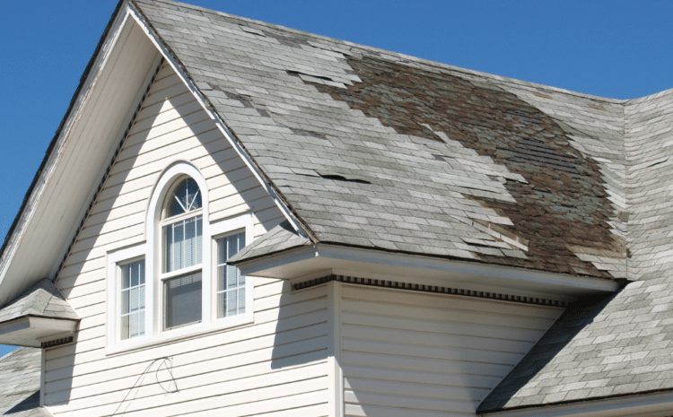 The Impact of Pennsylvania’s Weather on Your Roof and Home