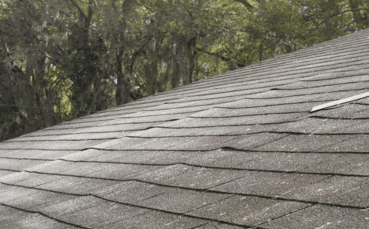Why Is My Roof Sagging? 4 Common Causes of Roof Sag