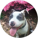 Nancy Welsh profile picture